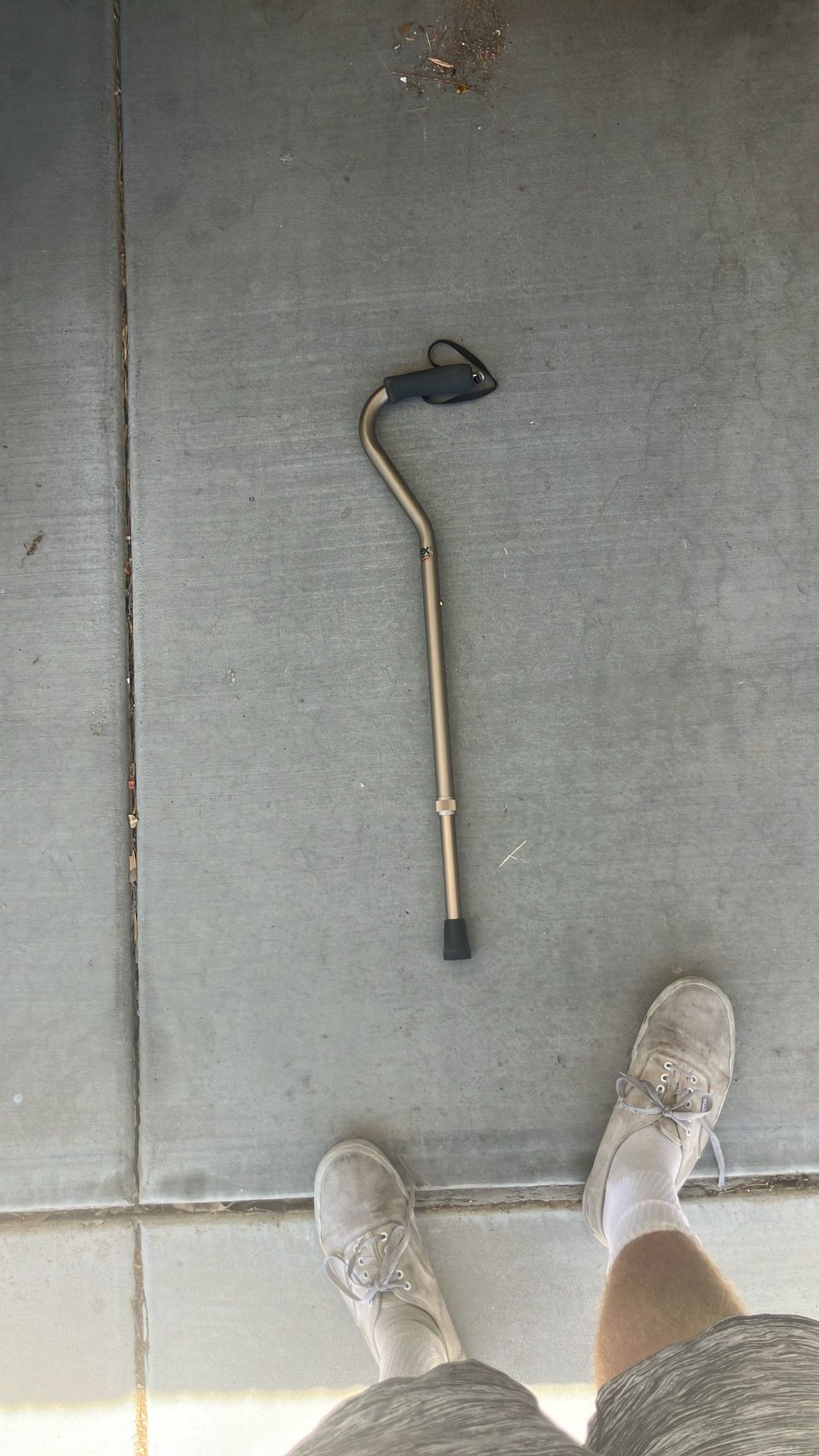 Cane