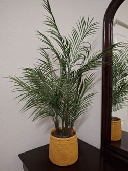 Areca Palm Artificial in pot