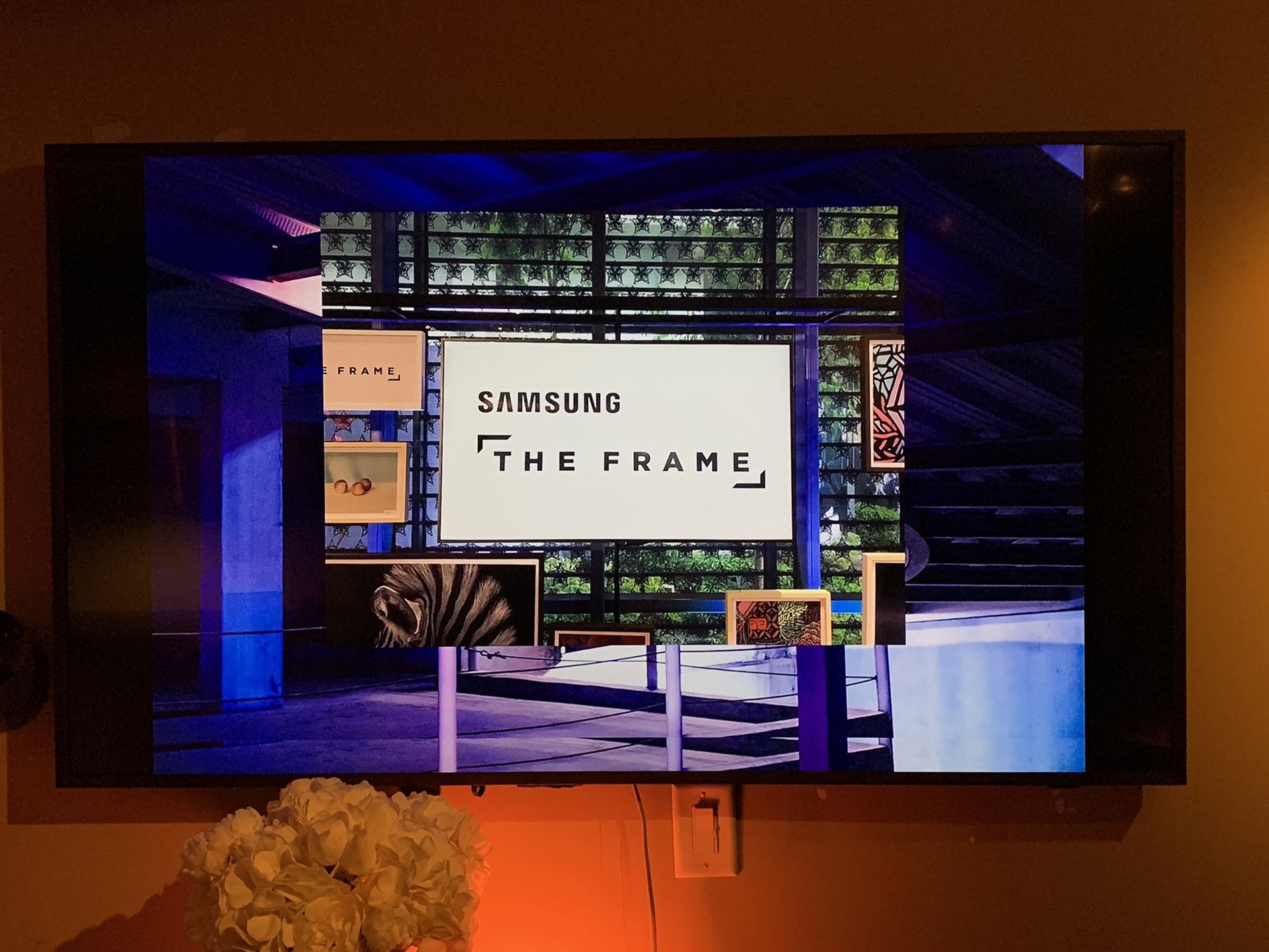Samsung the frame TV 65”