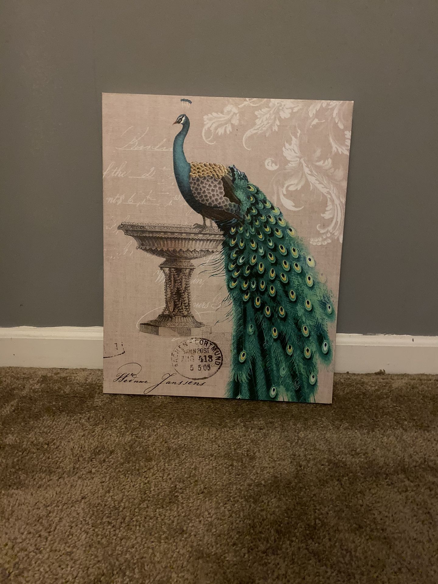 Peacock Canvas set