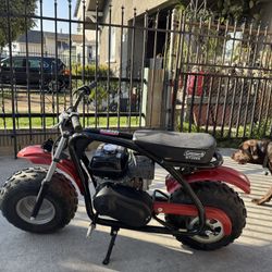 Mini Bike 
