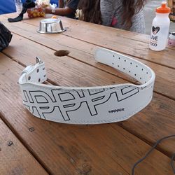 Weight Lifting Belt 