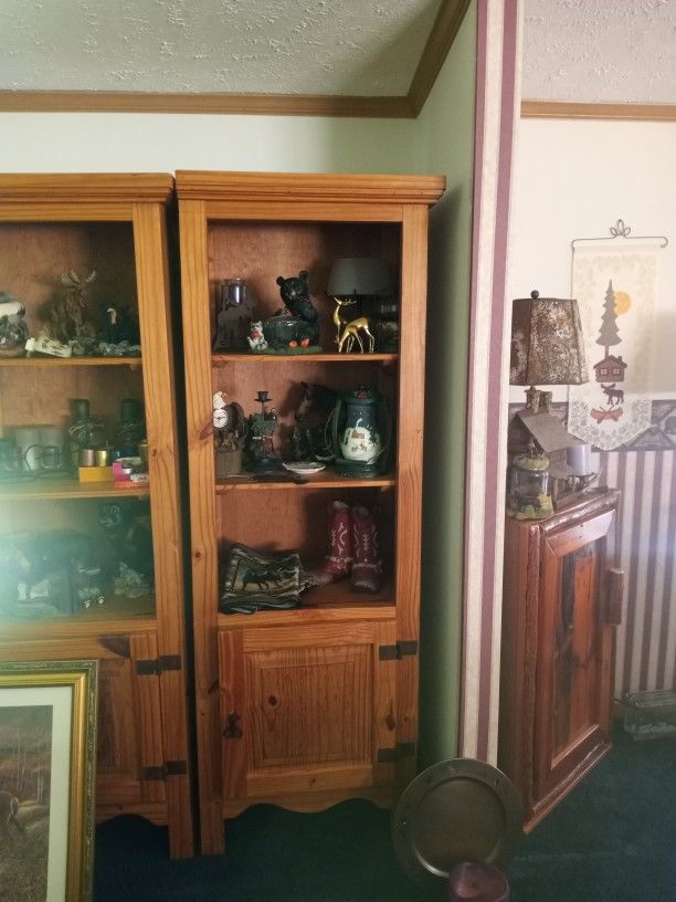 Book Case storage
