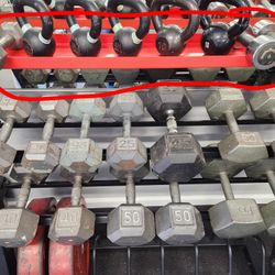 Gym Weights Olympic And Standard One Dollar Per Pound 