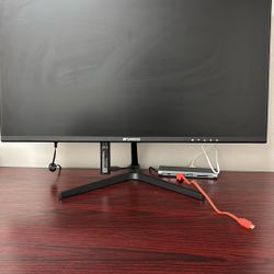 Sansui monitor