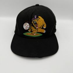  Vintage New Era Fresno Grizzlies SnapBack Hat