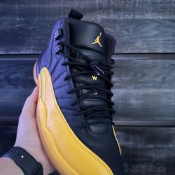 Jordan 6 Black University Gold