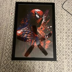 spider man picture