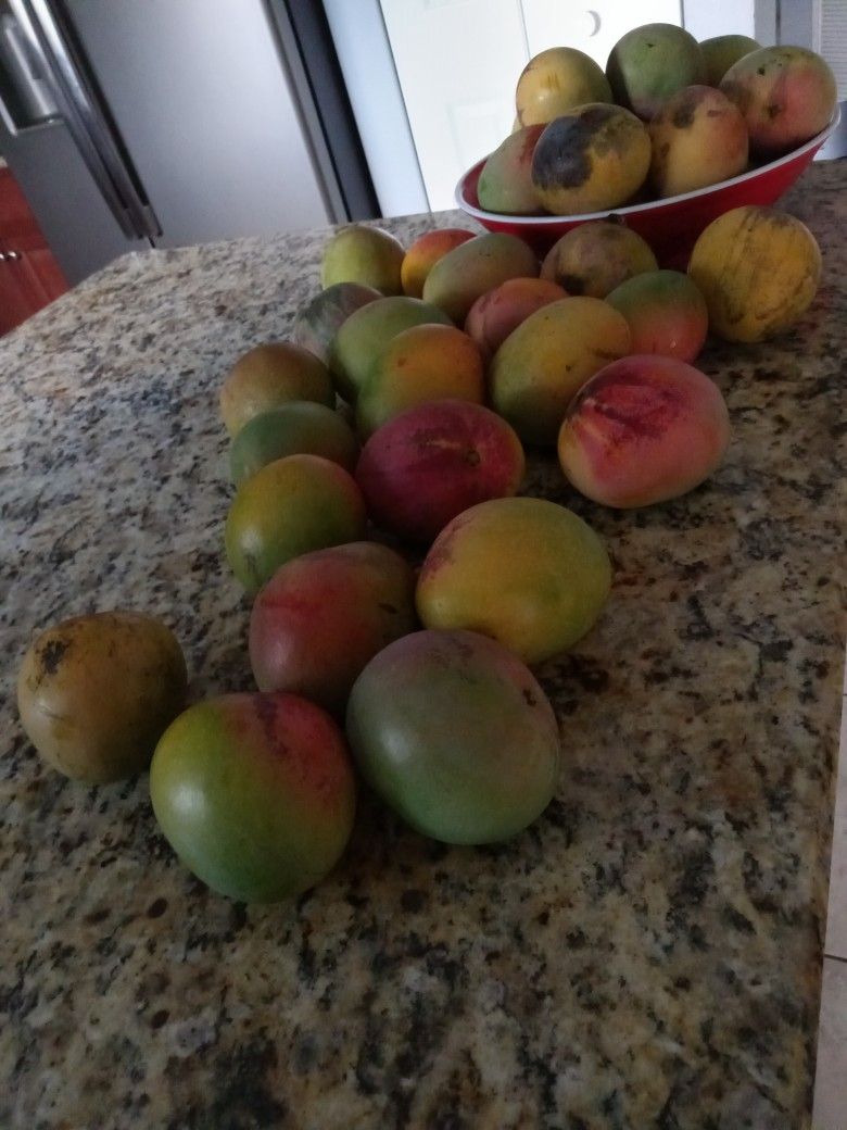 Sweet 🥭, fresh