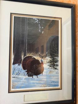 Signed kelley turkey wildlife print#49 of 4000