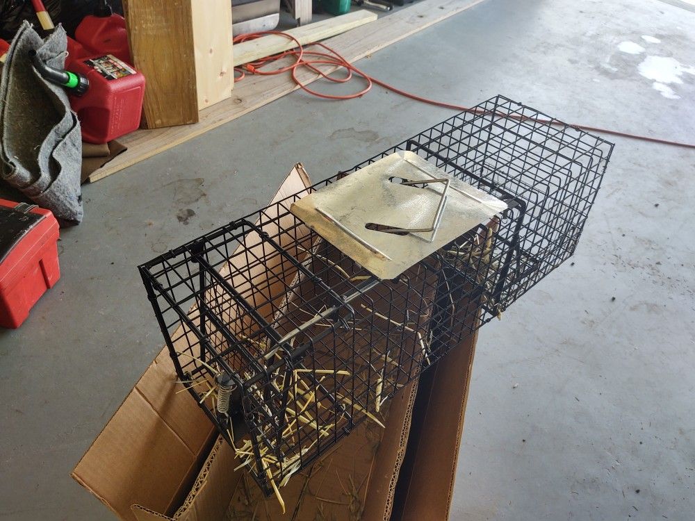 Small animal trap