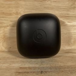 Beats Earbuds Case 