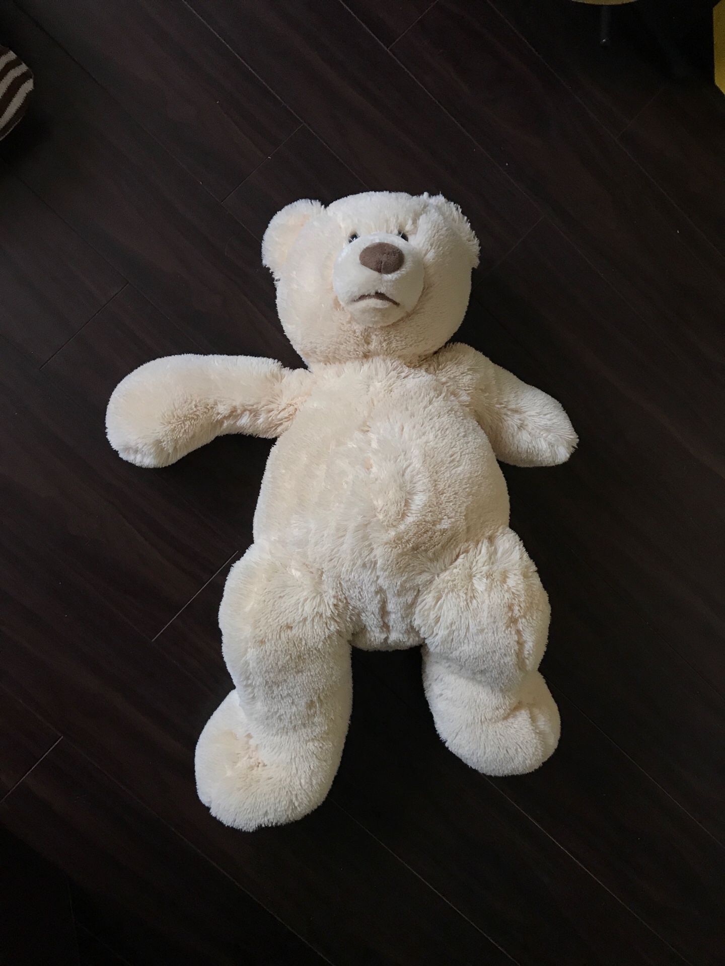 Bear stuffed animal, put in closet as soon as received
