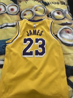 Lebron James lakers jersey