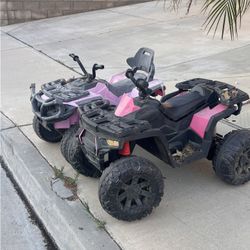 Free Quads 