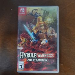 Hyrule Warriors Age Of Calamity