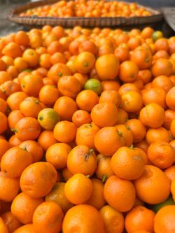 Fresh Calamansi 2 lbs for $5