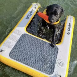 Inflatable Dog Swim Ramp