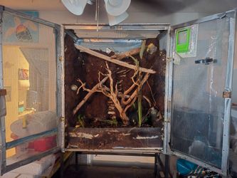 Bioactive reptile terrarium with built in waterfall set up