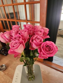 Pink roses 🌹 Beautiful Fresh Pink Rose Bouquet – Make Me an Offer! 🌹