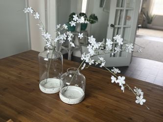 Home Decor Glass/Stone Terrarium Vases
