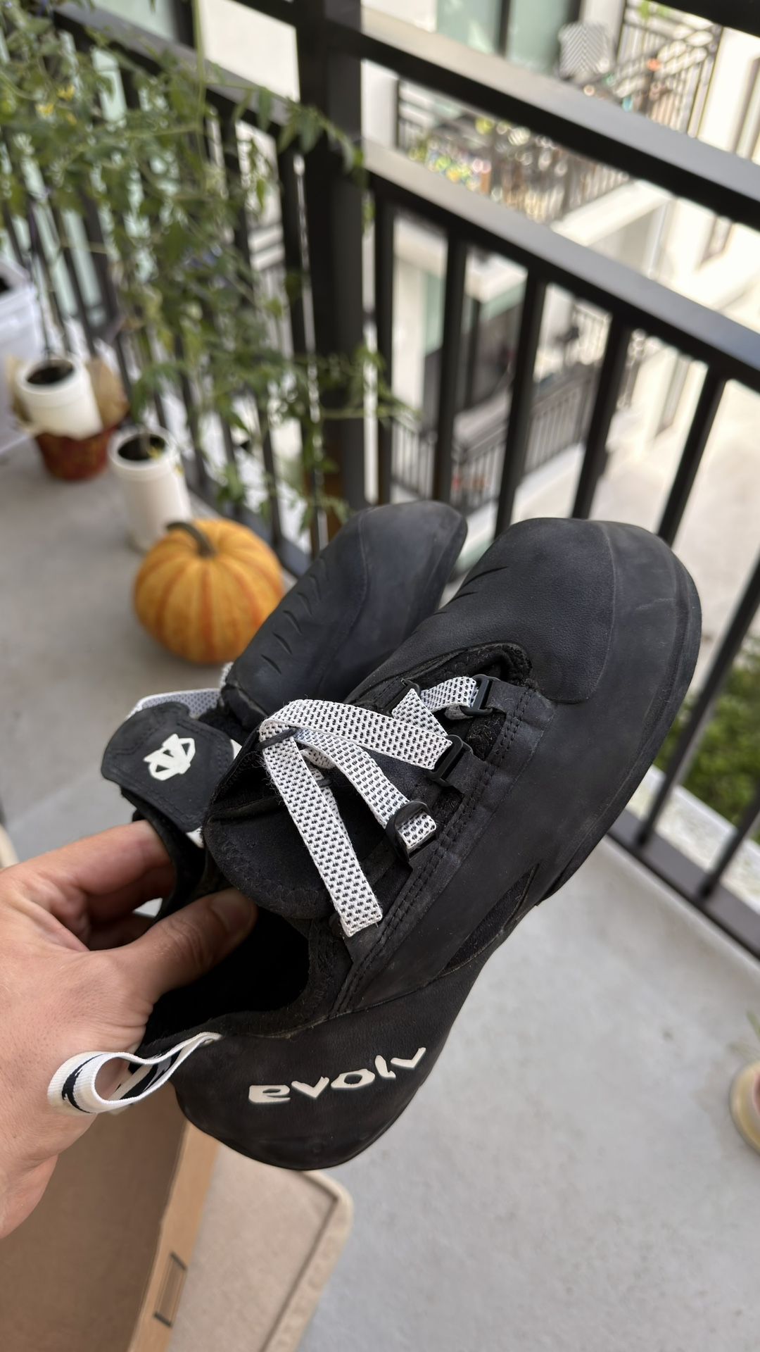 Evolv phantom 11.5 (45) US