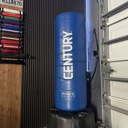 Punching Bag