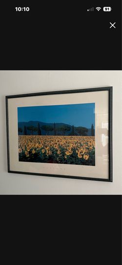 Sunflower print in frame 15.00