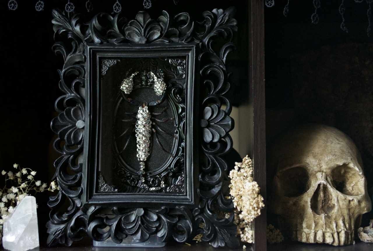 GORGEOUS ORNATE DARK BEAUTY GOTH GOTHIC ODDITY SCORPION SCORPIO ASTROLOGY ZODIAC TAXIDERMY SWAROVSKI CRYSTAL 3D SHADOWBOX PICTURE ART DISPLAY DECOR