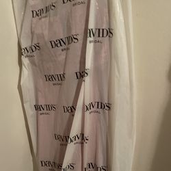 Prom Dress Or Reception Dress