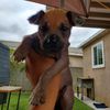 Carlos
