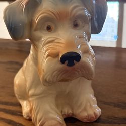 Vintage Rainbow Terrier 