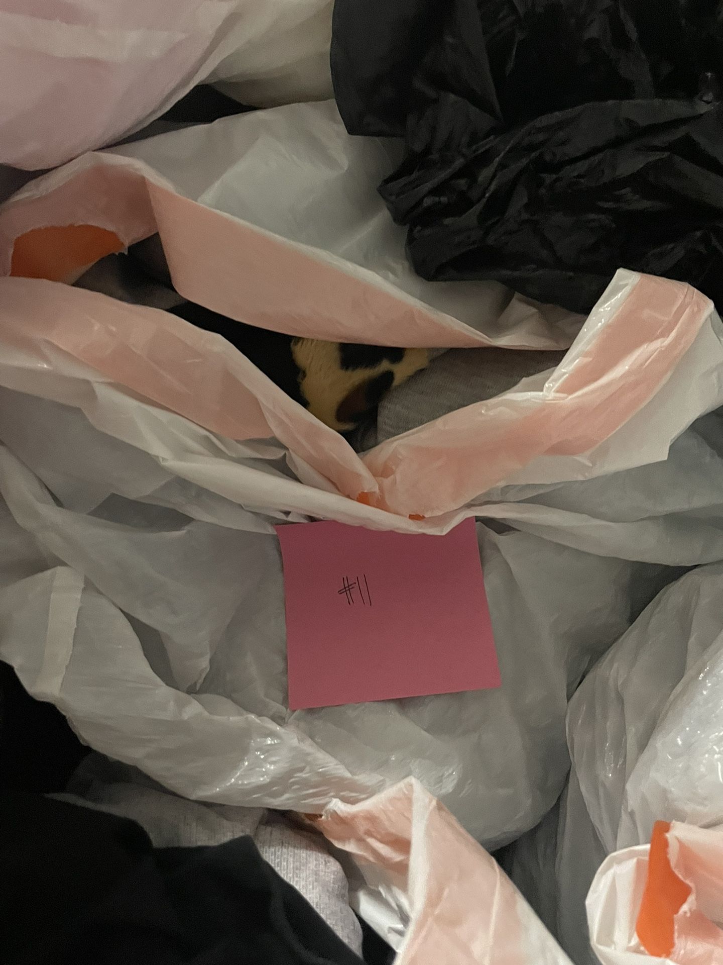 Mystery Bag Of Clothing #11