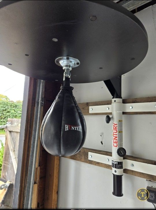 speed Bag/ Punching Bag