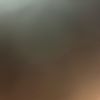 Jose C