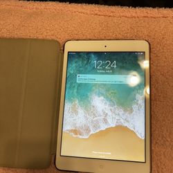 iPad Mini - 16 GB