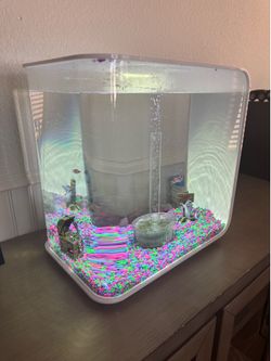 BiOrb Flow Acrylic 8 gallon Aquarium, with 2 Fish and Accessories