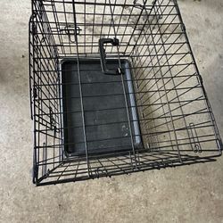 Dog house