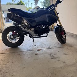 Honda grom