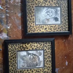 Prints Of Wild
