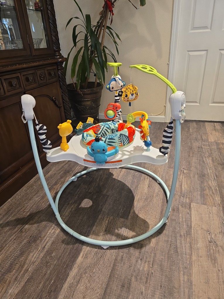 Baby Bouncer