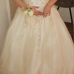 BALL GOWN STYLE PROM DRESS W/ DUST BAG