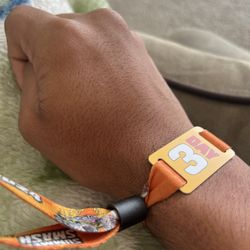 summer smash 2024 3 day pass