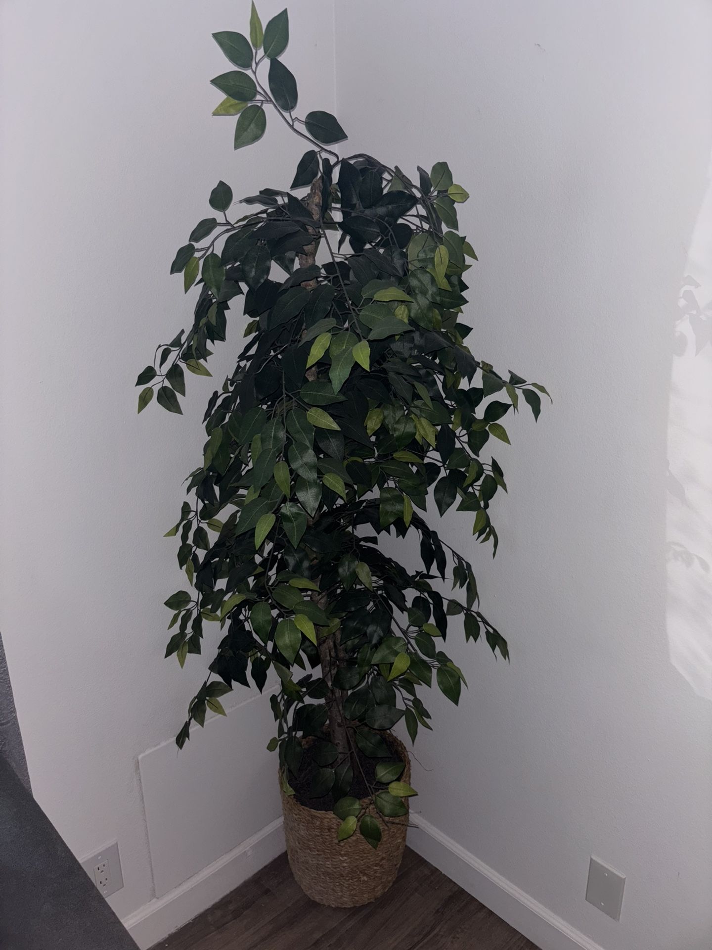 5 Feet & Half Inch Fake Indoor Tree