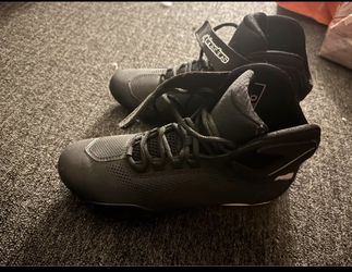 Alpine stars Sektor street motorcycle shoes