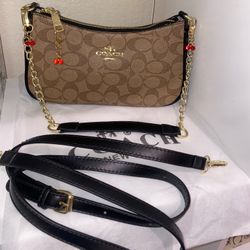 Brown Purse 