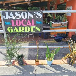 11/18  This Weekend Selection Here At Jason's Local Garden Located In Davie At New River Grove 