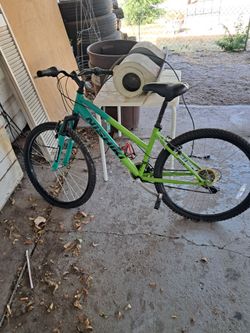 Nishiki Mountain Bike Green and Teal