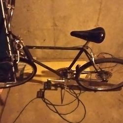 Mesa Runner Shwin Bike