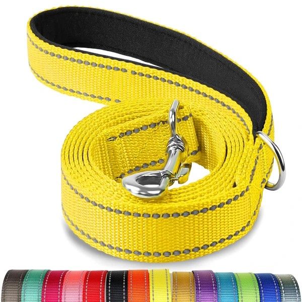 NEW Joytale 5FT Dog Leash pet puppy L Large M Medium yellow supply